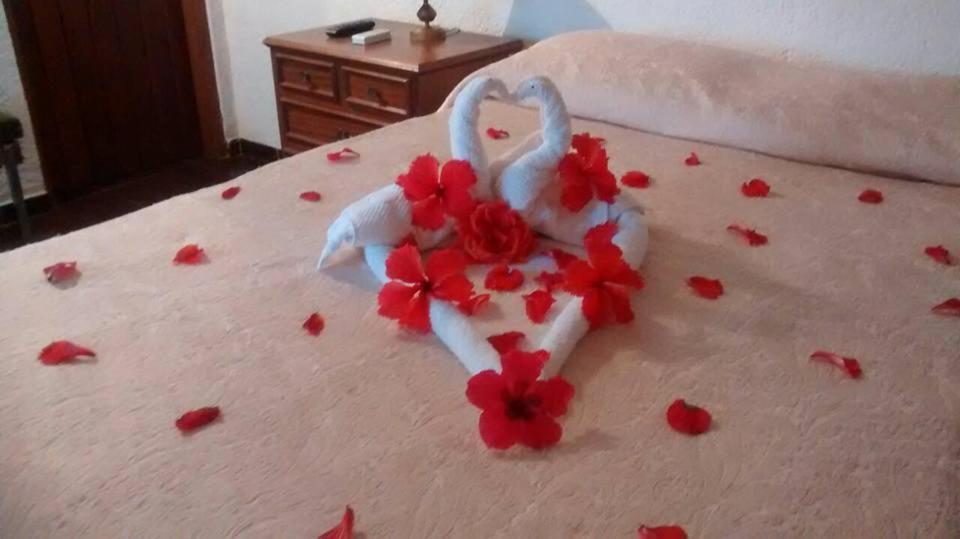 Hotel Fazenda Villa-Forte Engenheiro Passos Eksteriør billede